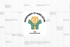 DA-Caraga aims to attain over 100% rice sufficiency by 2025