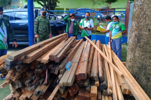 Abandoned 'hot logs' seized in Maguindanao