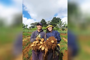 Gov’t, food firm program helps potato farmers raise yield