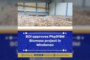 P919-M biomass plant to start operation in December