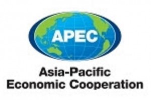 APEC leaders issue declaration on policy actions for Covid-19