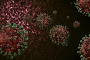 EU health agency warns of deteriorating coronavirus situation