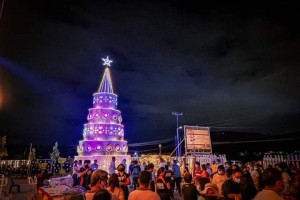 Rizal province turns discards into giant Christmas trees