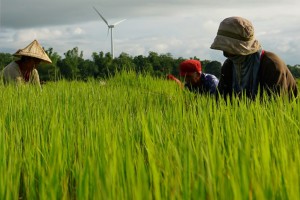 Smart agri tech available for small-scale farmers