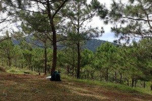 Baguio City dads mull tax incentives for lands with ‘greens’