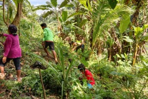 Mt. Maculot still off-limits to Holy Week hikers