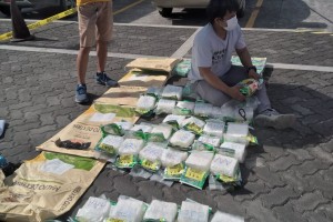24.8K out of 42K villages 'drug-cleared' as of March: PDEA