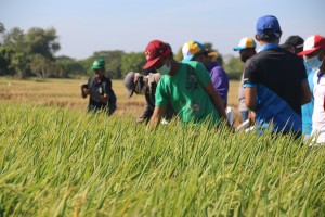 Roque vows to uplift plight of rice farmers