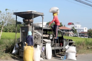 Liberalization of foreign investments in rice, corn sector sought