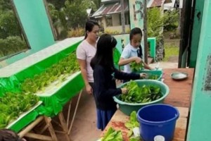 Makeshift farm facilities sustain ‘agri-preneurship’ for kids