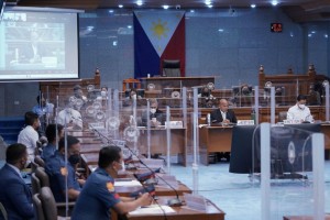 Roque says Senate probes must yield results
