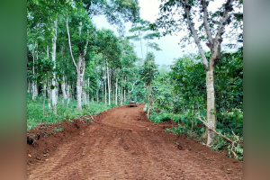Troops build access roads in area once influenced by ASG in Sulu