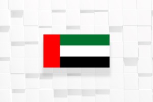 UAE ready to host COP28; thanks PH for support
