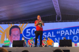 Panelo vows to ease plight of PUV drivers