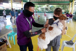 Rabies cases down 5% from Jan 1-June 25