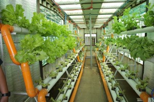 DOST-3 introduces Aurora farmers to smart agri farming