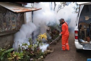 Public warned of rising dengue cases nationwide