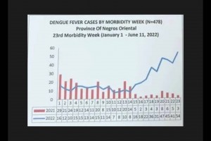 Negros Oriental dengue cases 44% higher