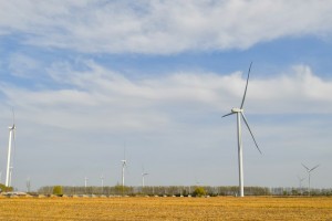 Renewable energy dev't boosts China's pursuit for carbon goals
