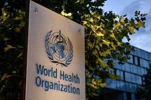 Monkeypox not global health emergency right now: WHO