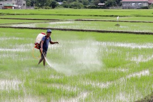 PBBM admin to modify value-chain for yield hike, affordable food