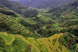 DOT: No severe damage on Cordillera heritage sites due to Egay