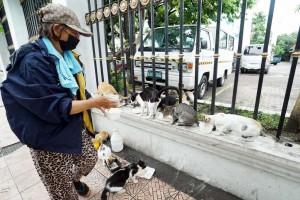 Mother, daughter get a kick out of feeding stray cats, dogs