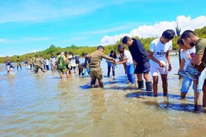 Volunteer groups vow to sustain mangrove planting in NegOr