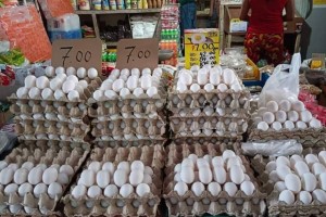 Novaliches used to be 'egg, meat, fruit basket' of QC, Caloocan