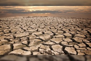 Almost half of Europe at risk of drought: report