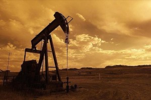 Oil up over demand recovery signs