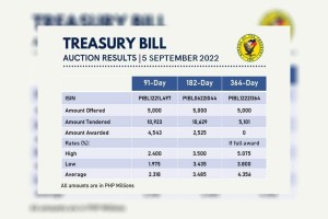 BTr partially awards 91-day, 182-day T-bills