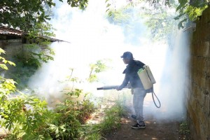 Dengue cases drop by 45% in Eastern Visayas in 2023