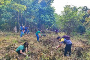 Forest, fruit trees planted in Pampanga