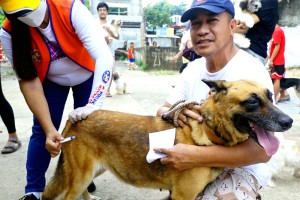 Rabies cases decrease by 8% from Jan. 1- Sept. 2