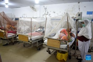 Dengue rampage continues in Pakistan 