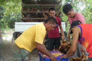 DA distributes livelihood aid to farmers in C. Luzon