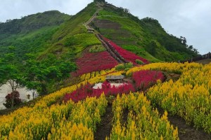 Marcos signs ecosystem and natural capital accounting law