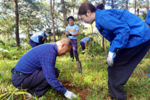 Chinese firm backs PH’s tree planting with over 1K pine needles