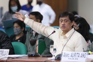 DAR’s P9.3-B 2024 budget hurdles Senate panel