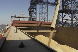 Russia rejoins grains shipment deal