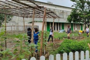 Pangasinan school garden alleviates malnourishment among learners