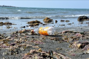 Two-thirds of people support rules to end plastic pollution