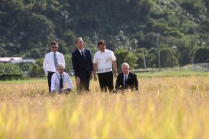 Rice Congress to tackle emerging threats to productivity