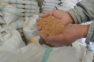 World food prices fall slightly in November: FAO