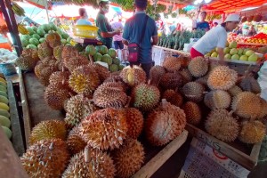 Imaging tech project for durian great help to farmers: DA