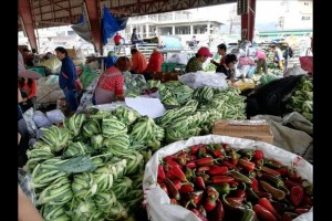 BSP introduces 'Paleng-QR' to Benguet farmers