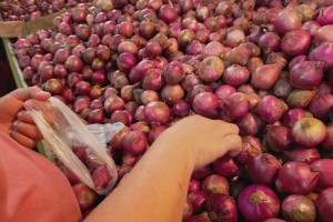 PCC to probe possible cartel amid high onion prices