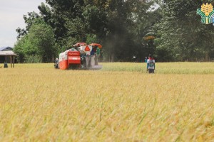Farmers, fisherfolk support rice price cap