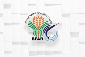 BFAR forms team to probe alleged cyanide use in Bajo de Masinloc
